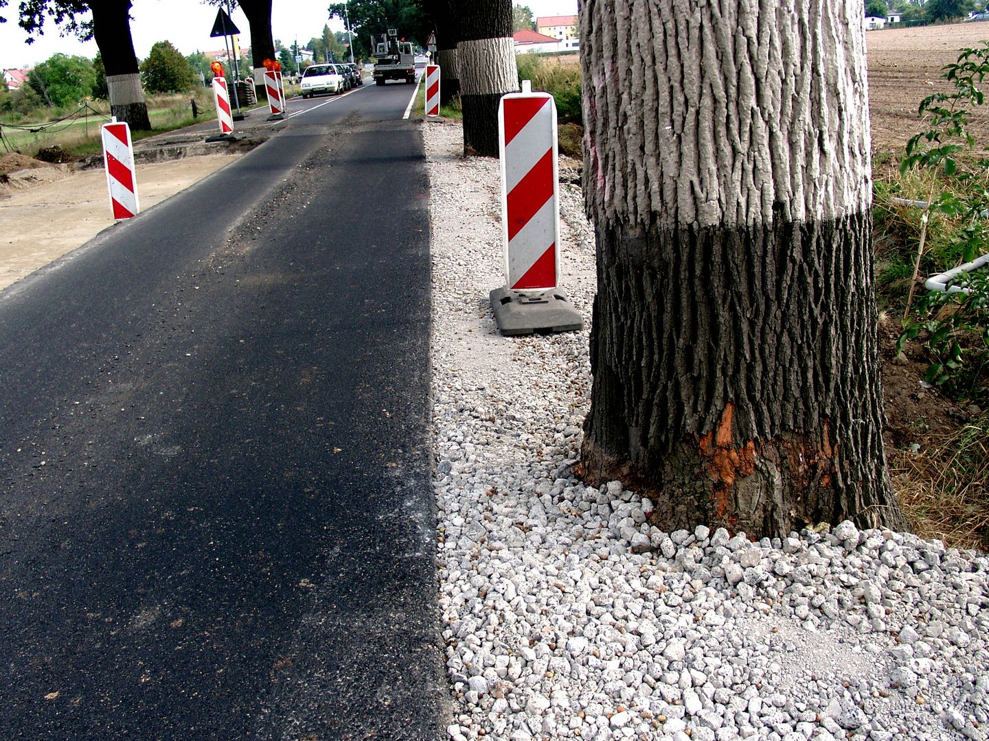 Straßenbau ohne Baumschutz kann Stämme und Wurzeln verletzen. Foto: BUND Brandenburg