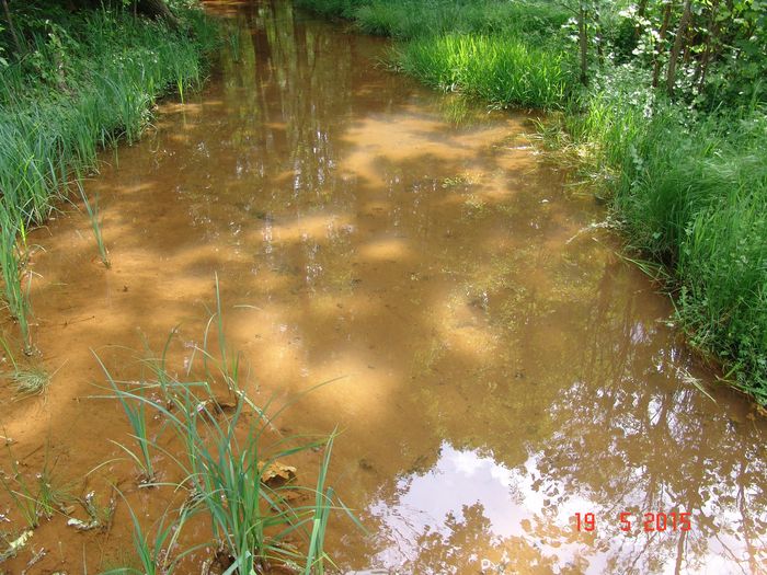 Einleitstellen am Tagebau Welzow-Süd in Brandenburg, Foto: BUND Brandenburg