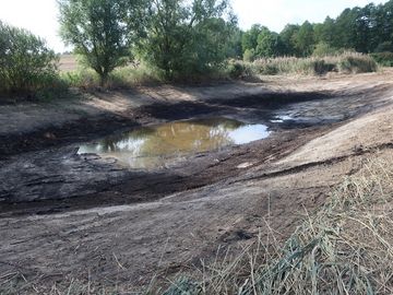 Bereits nach kurzer Zeit füllten sich die Senken wieder mit Wasser.