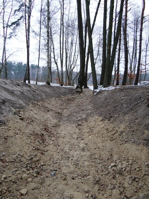Sohlschwelle am Westende der Tranwiesen, Foto: BUND Brandenburg
