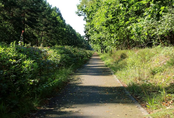Feldahornhecke zwischen Sperenberg und Kummersdorf Gut, Foto: Carsten Preuß/BUND Brandenburg