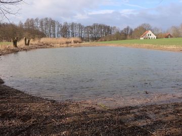 Im März 2020 waren die Kleingewässer dank des Regens im Winter bereits gut gefüllt und können nun wieder Kröten, Unken und anderen Tierarten einen Lebensraum bieten.