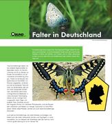 Ausstellung Abenteuer Faltertage