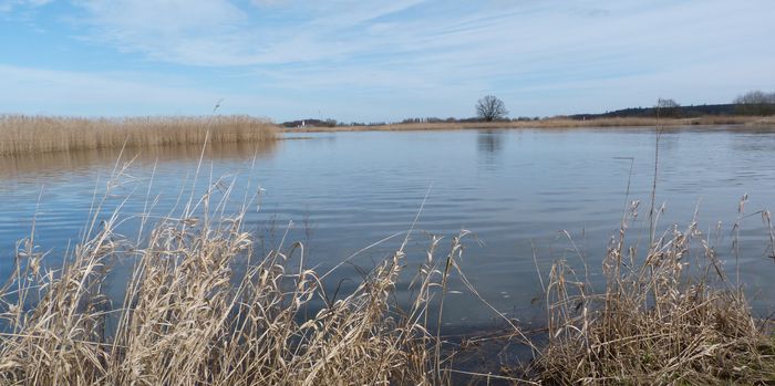 Die Oder - ein naturnaher Fluss, Foto: BUND Brandenburg