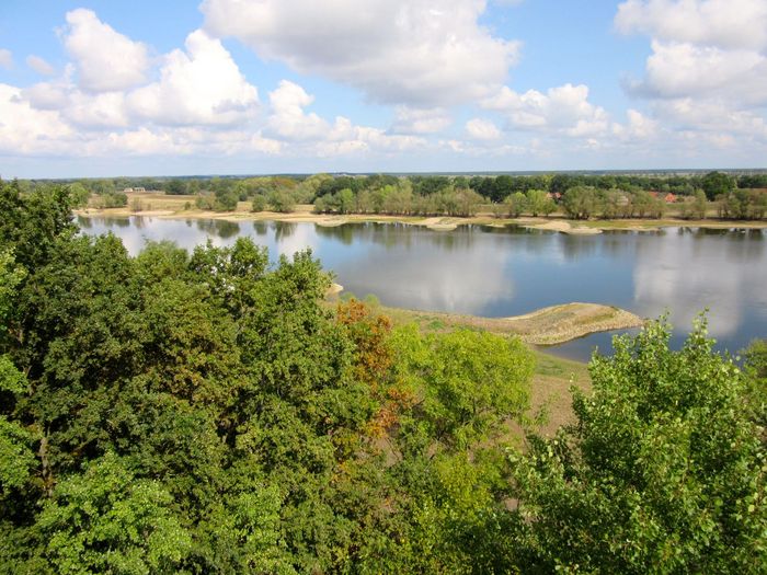 Auenlandschaft 