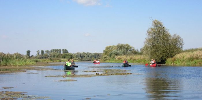 Kanufahren im Nationalpark Unteres Odertal, Foto: BUND Brandenburg